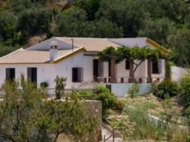 Comprar Casa Torrox campo