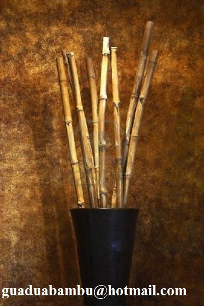 Cañas de Bambú para decoración. DIVIAL