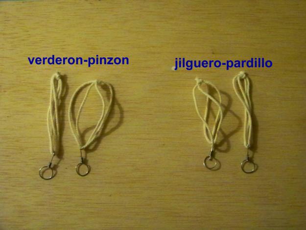 bragueros para silvestres
