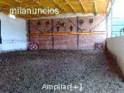 CENTRO ECUESTRE GANADOS ARANGO - mejor precio | unprecio.es