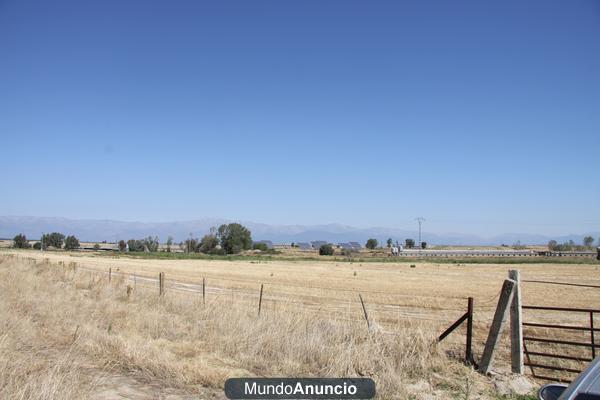 FINCA DE LABRANZA - GANADERA  36,50 HAS EN OROPESA -TOLEDO-