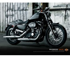 HARLEY DAVIDSON XL883N Iron