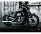 HARLEY DAVIDSON XL883N Iron - mejor precio | unprecio.es