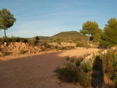 in Teresa De Cofrentes,  Valencia And Costa del Azahar   - 27500  EUR