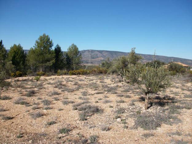 Vendo terreno ideal para chalet en Biar (Alicante)