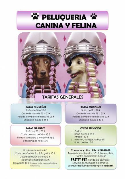 Peluqueria canina barata madrid norte.