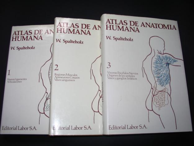 Vendo Atlas de anatomia humana W.SPALTEHOLZ