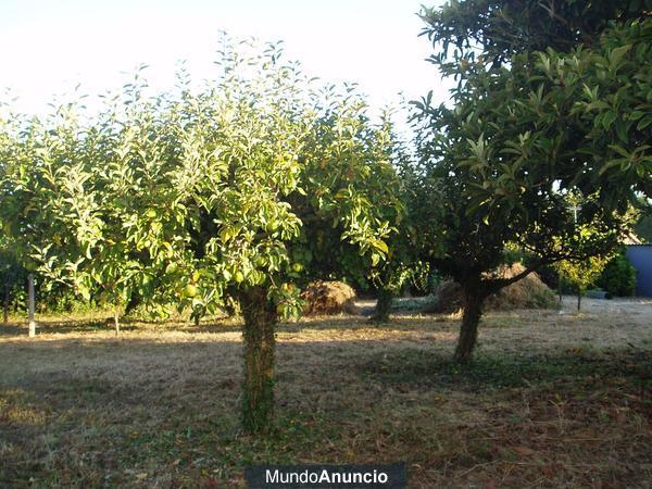 Vendo finca rústica en Bergondo - A Coruña