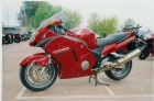 VENDO MOTO HONDA CBR 1100 XX - mejor precio | unprecio.es