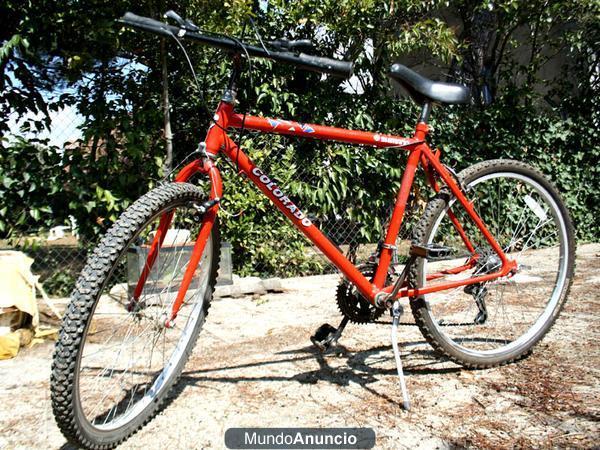 Bicicleta adulto