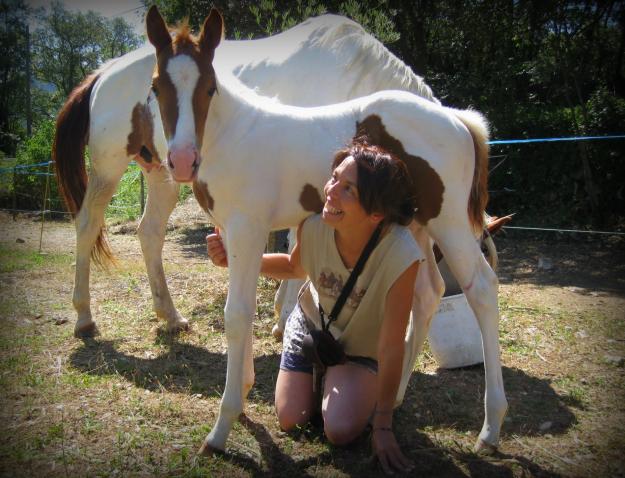 Vendo potros Quarter Horse y Paint Horse