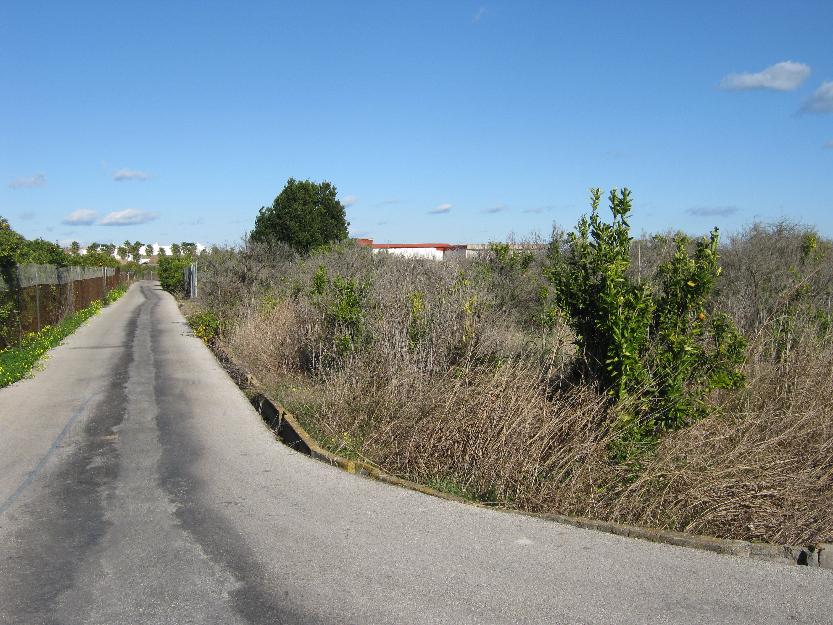Terreno llano con riego por goteo y a manta