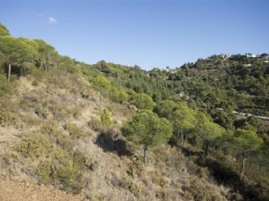 Terreno se vende en Benahavis, Costa del Sol