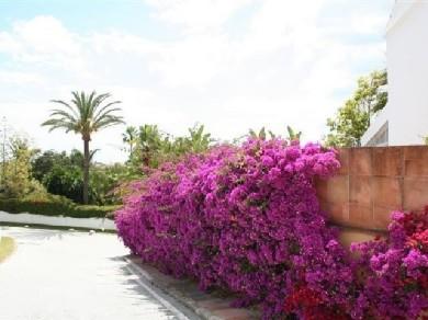 Adosado con 4 dormitorios se vende en Marbella, Costa del Sol