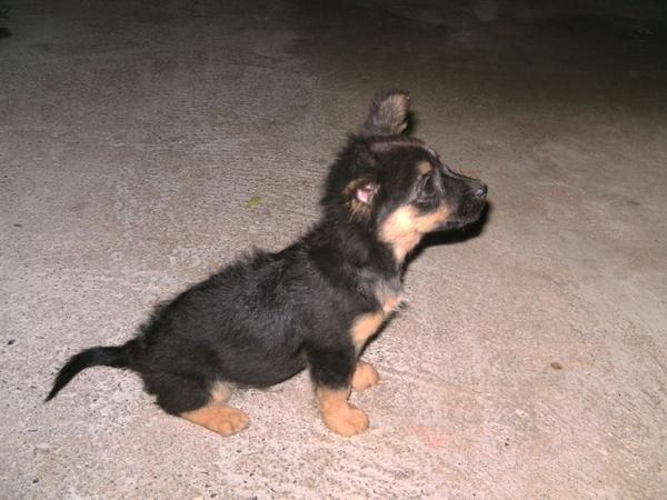 Coco Perdido!!Ayuda!!