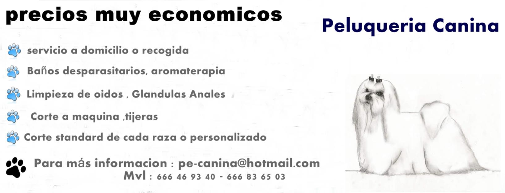 Peluqueria canina muy economica
