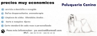 Peluqueria canina muy economica - mejor precio | unprecio.es