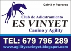 CLUB DE AGILITY Y ADIESTRAMIENTO CANINO ES VINYET - mejor precio | unprecio.es