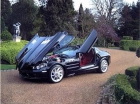Mercedes SLR McLaren 09 plate - mejor precio | unprecio.es