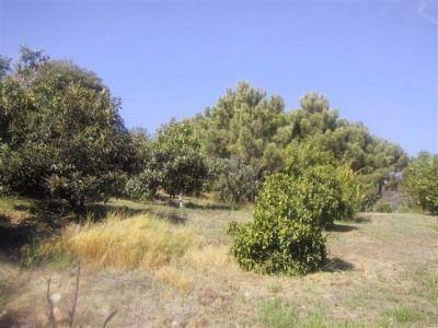 Terreno/Finca Rstica en venta en Marbella, Málaga (Costa del Sol)