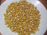 Maíz amarillo para palomitas (100 semillas ecológicas)