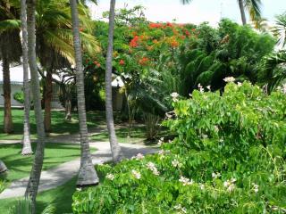 Estudio : 2/3 personas - piscina - saint francois  grande terre  guadalupe