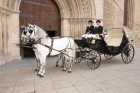 Coches de caballos bodas valencia - mejor precio | unprecio.es