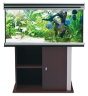 ACUARIO EVASION 101 CON MESA COLOR WENGE - mejor precio | unprecio.es