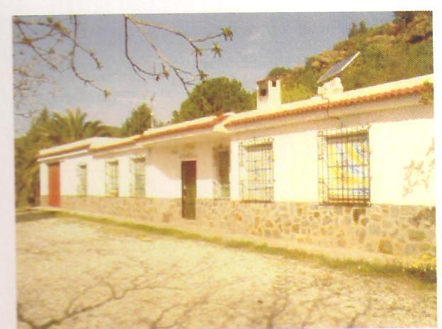 Finca rústica Las Olivillas en las faldas de Sierra Nevada