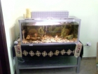 vendo acuario de 150 litros - mejor precio | unprecio.es