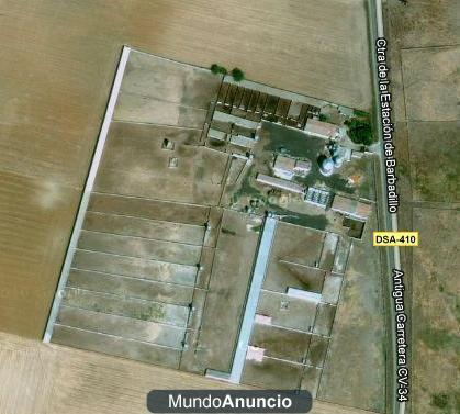 VENDO GRANJA PORCINA - SALAMANCA