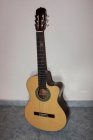 Vendo guitarra acústica con todo - mejor precio | unprecio.es