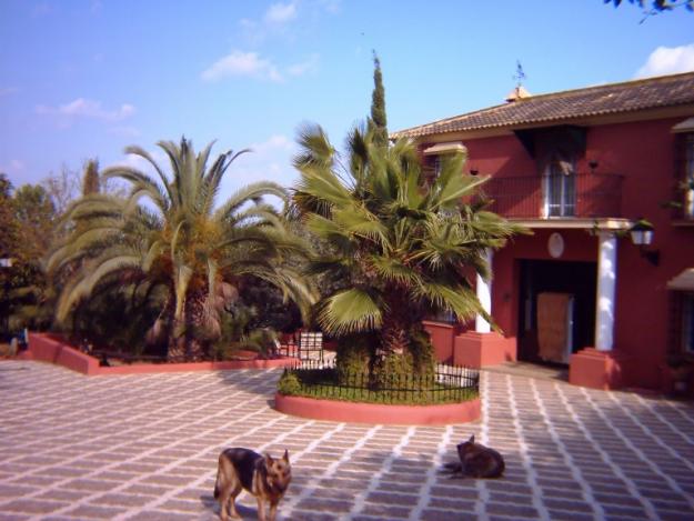 finca mairena del alcor