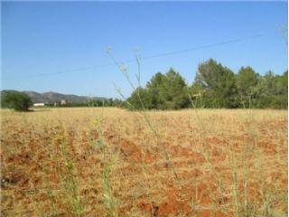 Terreno/Finca Rstica en venta en Sant Llorenç de Balafia, Ibiza (Balearic Islands)