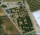 Casa de campo con 5.000 m2 de huerto san javier - mejor precio | unprecio.es