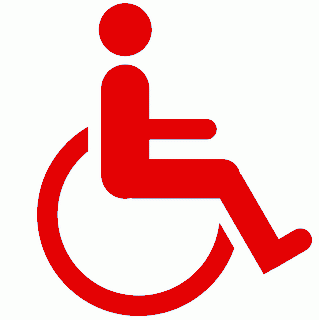 vehiculos adaptados para minusvalidos