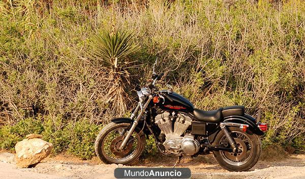 harley 883 matricula italiana
