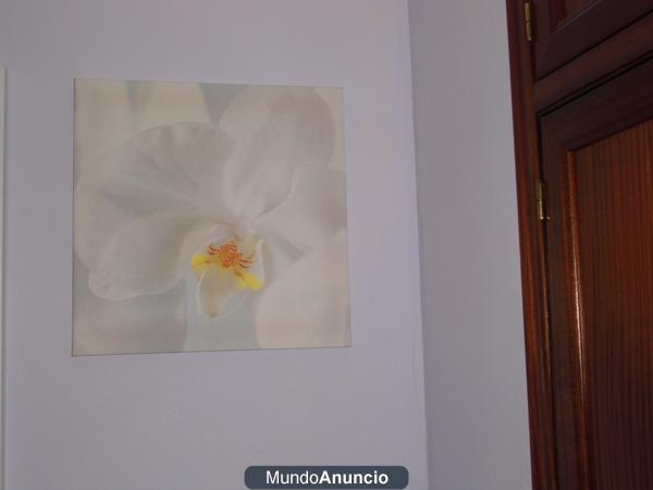 cuadros de dormitorio