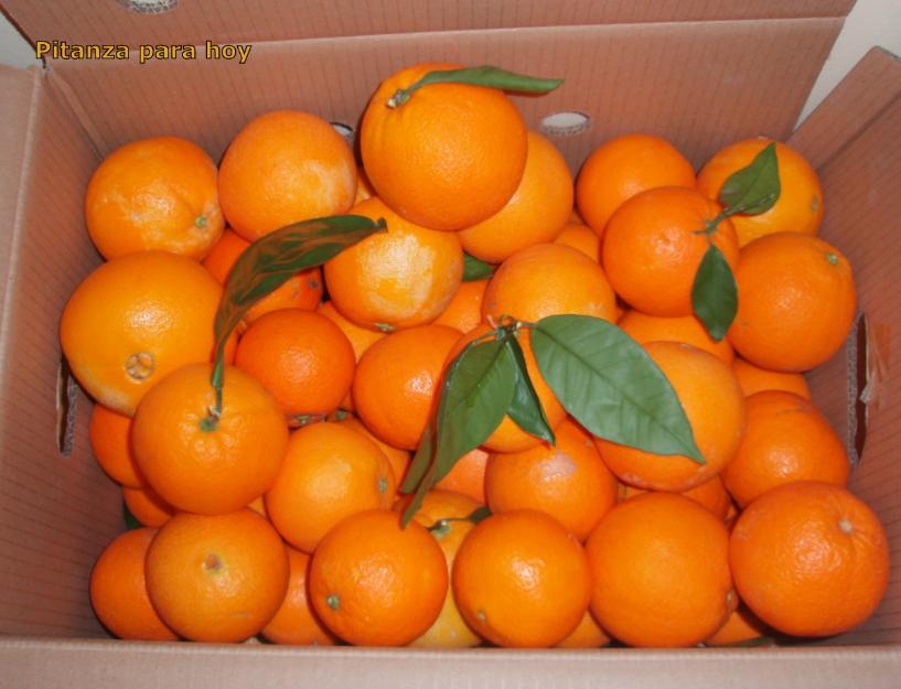 Caja naranjas de valencia 10 k a 14'6 €