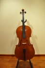 Violonchelo de gran calidad - mejor precio | unprecio.es