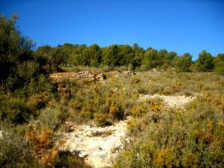 in Atzeneta Del Maestrat,  Catalonia   - 28000  EUR