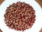 Maíz rojo para palomitas (100 semillas ecológicas) - mejor precio | unprecio.es