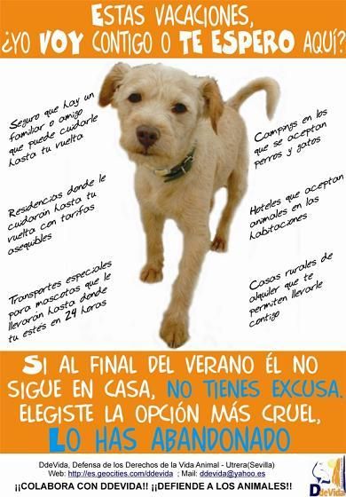NO COMPRES ANIMALES, NO CRIES, ADOPTA Y SALVA VIDAS! / HAGO PAGINAS WEB ECONOMICAS!