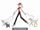 ***DOG WALKER & PET SITTING*** - mejor precio | unprecio.es