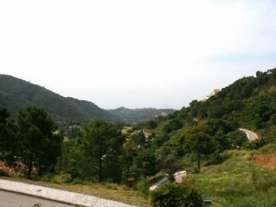Terreno se vende en Benahavis, Costa del Sol