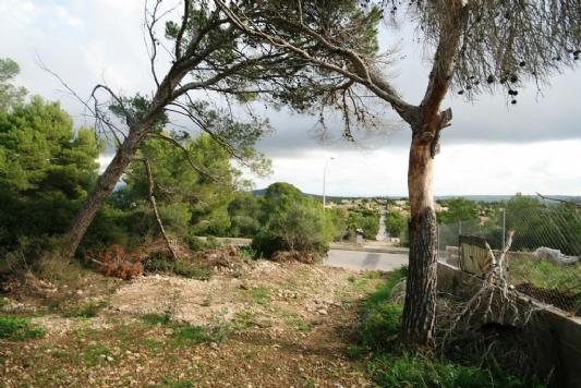 Terreno y Solares En Venta en Santa Ponsa, Mallorca