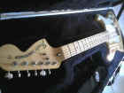 Vendo guitarra fender stratocaster mex (color madera natural) - mejor precio | unprecio.es