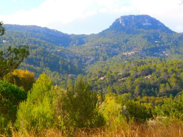 Terreno/Finca Rstica en venta en Puigpunyent, Mallorca (Balearic Islands)