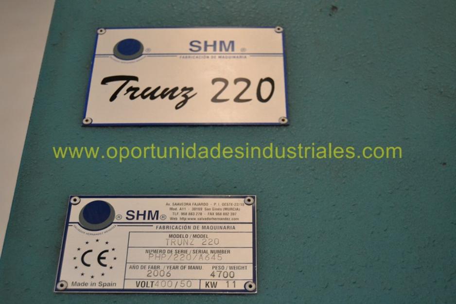 Prensa hidráulica Trunz 220TN