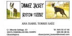Boston Terrier para montas - mejor precio | unprecio.es